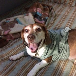 Meet your Posher, Vilma